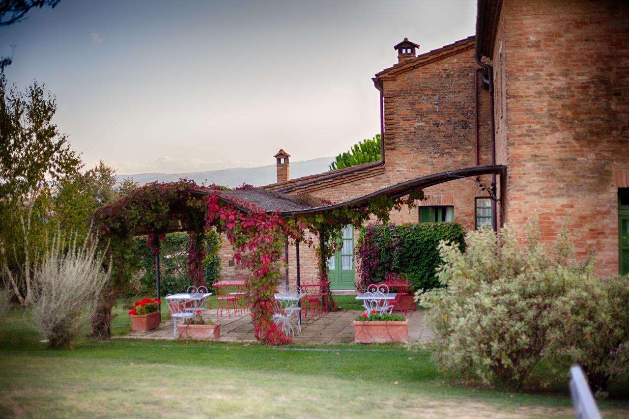 Podere Salicotto Guest House Buonconvento Exterior foto