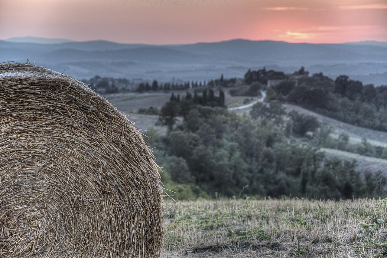 Podere Salicotto Guest House Buonconvento Exterior foto